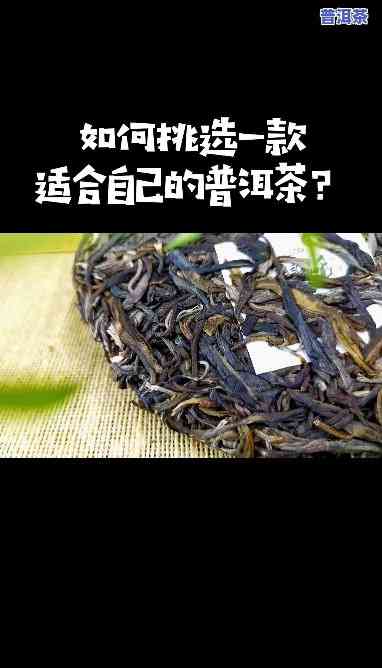 人不能喝普洱茶的起因是什么？请解释一下