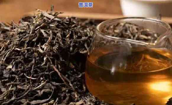 人不能喝普洱茶的起因是什么？请解释一下