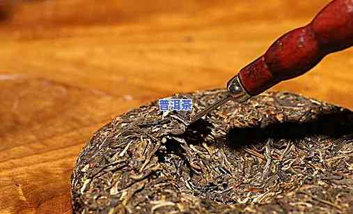 普洱茶评比视频图片大全高清合集：最新高清版本及下载链接