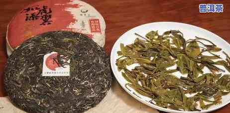 普洱茶是不是烂茶的一种茶，普洱茶：是“烂茶”还是特别的存在？