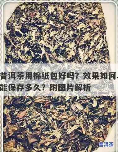 普洱茶纸：怎样利用图片卖出高价？全攻略！