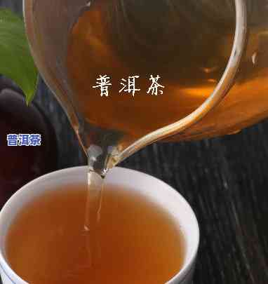 普洱茶利润高吗，揭秘：普洱茶的利润究竟有多高？