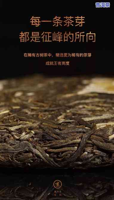 老班章25号，探索普洱茶的顶级口感：老班章25号的魅力