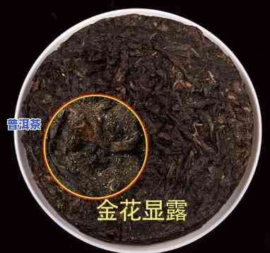 86年普洱茶金花价格：多少钱一斤？