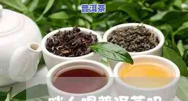 小胖的普洱茶叫啥名字啊怎么读，探寻小胖的普洱茶：名称与读音解析