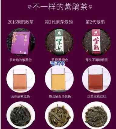 紫茶普洱茶口感描述图片：全面熟悉紫茶普洱茶的韵味与风味