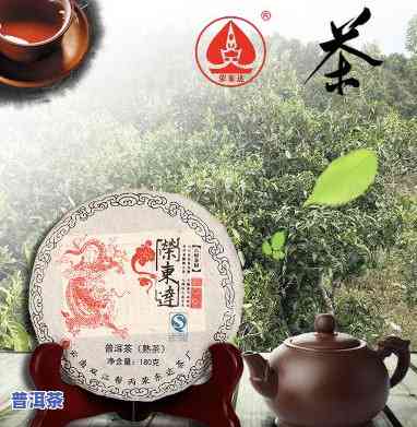 古普洱茶业：何仕华监制，专业经营古普洱茶业