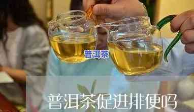 喝普洱茶能排便不正常吗女生，普洱茶对女性排便有何作用？