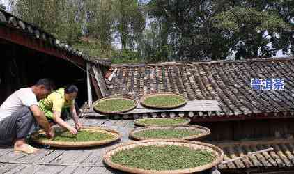 昆明哪里能买到好卖的普洱茶？上有答案和视频！