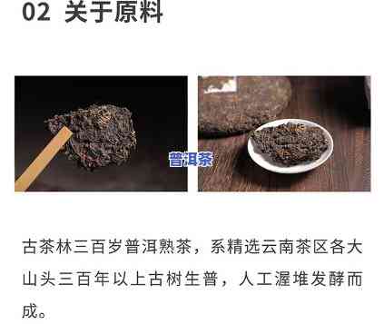 古农普洱茶：熟茶还是生茶好？口感如何？