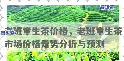 2011年老班章普洱生茶357克价格走势分析