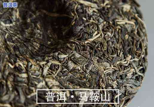 普洱茶评比视频讲解大全-普洱茶评比视频讲解大全图片