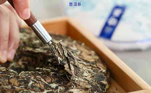 普洱茶评比视频讲解大全-普洱茶评比视频讲解大全图片