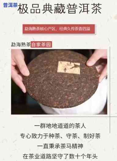 名山品味普洱茶价格多少？一斤、一盒分别多少钱？