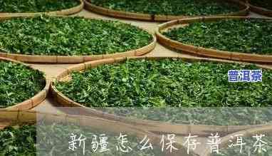 新疆存普洱茶口感怎样？有相关视频吗？