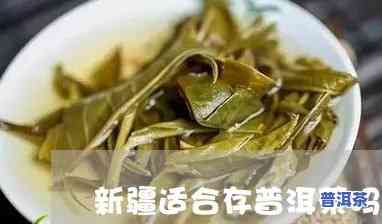 新疆存普洱茶好不好卖呀-新疆存普洱茶好不好卖呀