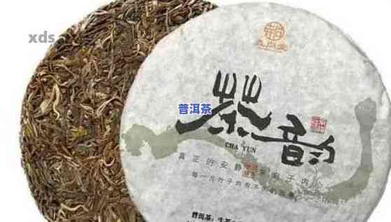 普洱茶怎样密封透气好喝-普洱茶怎样密封透气好喝一点