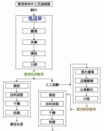 全程揭秘：普洱茶叶加工流程、图解与视频教程