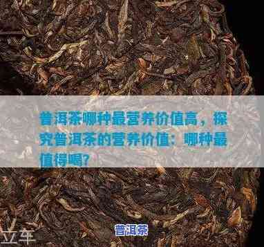 普洱茶贵的营养价值真的高吗？上有哪些推荐？