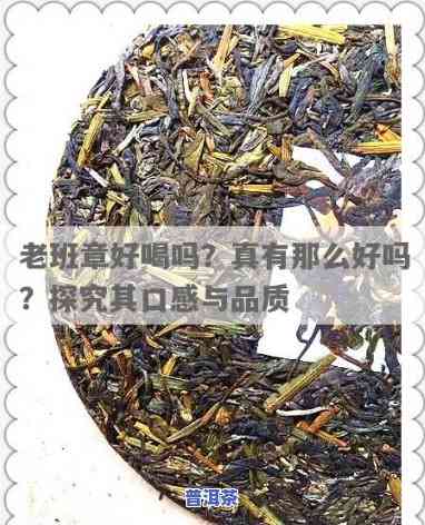 老班章的茶好吗，探究老班章茶的好坏：一份全面的评估