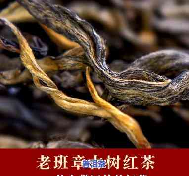 老班章茶属于红茶吗-老班章是红茶吗