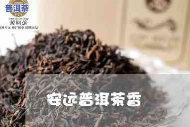 安远普洱茶推荐一下-安远普洱茶推荐一下