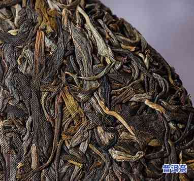 普洱茶新茶几月出芽更好-普洱茶新茶几月出芽更好呢