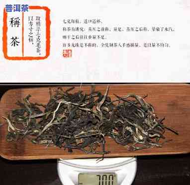 普洱茶新茶几月出产更好？视频解答！