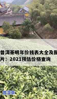 普洱茶2021何时上市？期待新茶的到来！