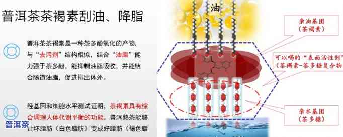 普洱茶刮油什么意思，解惑：普洱茶刮油的真正含义是什么？