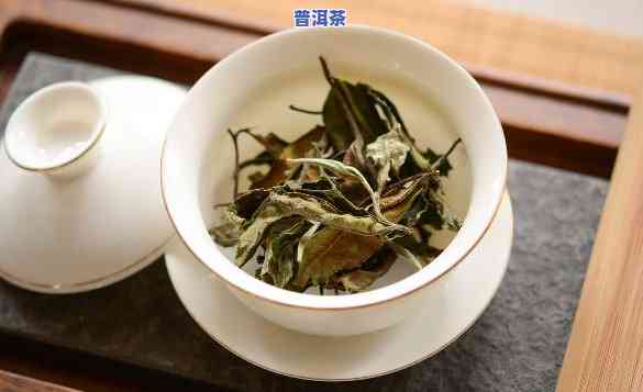 普洱茶和白茶哪个刮油好-普洱茶和白茶哪个刮油好一点