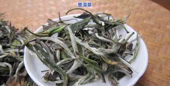 普洱茶和白茶哪个刮油好-普洱茶和白茶哪个刮油好一点