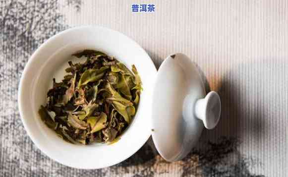 普洱茶和白茶哪个刮油好-普洱茶和白茶哪个刮油好一点