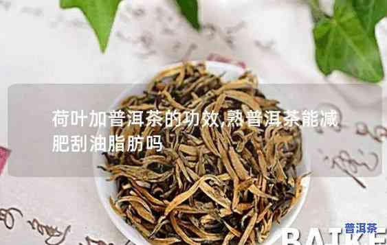 普洱茶可以刮油脂吗，探究普洱茶的刮脂功效，是真的吗？