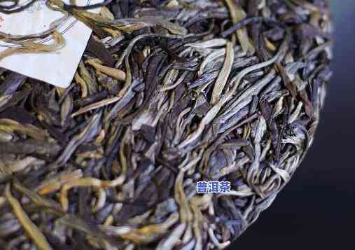 普洱茶浸泡多长时间好？视频讲解