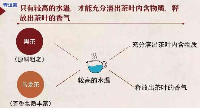 泡普洱茶更佳温度：多少度最适宜？