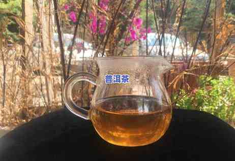 2017年老班章茶王树：售价32万，独一无二的珍品