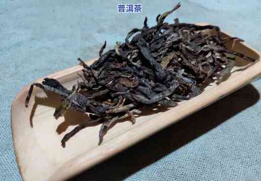 熟普洱茶需要放冰箱吗，存放熟普洱茶：是不是需要放入冰箱？