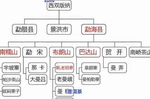 普洱茶种分类：全面图解及价格一览