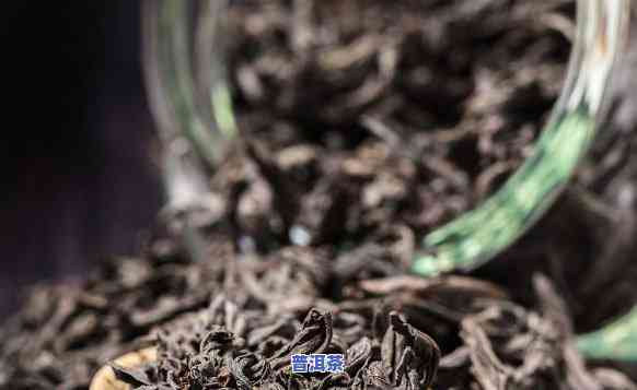 熟普洱属于寒性茶吗？探讨其性质