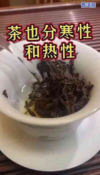 熟普洱茶是寒性还是热性？揭晓答案