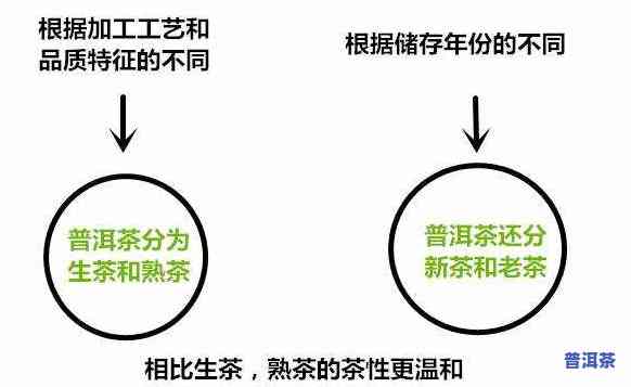 熟普洱茶是寒性还是热性？揭晓答案