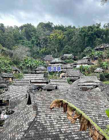 普洱茶寨子有哪些地方好玩，探索云南普洱茶寨：更佳游玩地点推荐