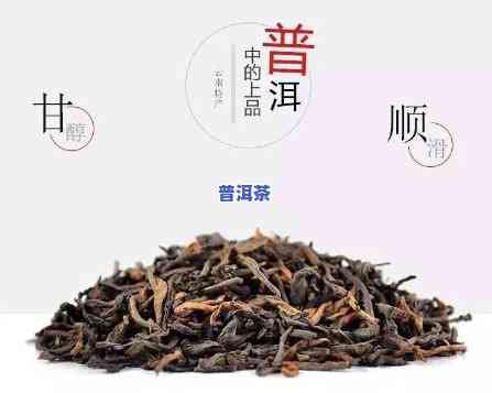 熟普洱直接泡着能喝吗，可以直接泡着喝的熟普洱，你试过吗？