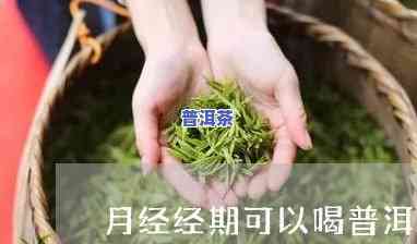 月经期间能否饮用熟普洱茶？女性须知