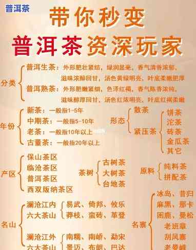 普洱茶的主要内容有哪些方面，全面解析：普洱茶的主要内容及其特点