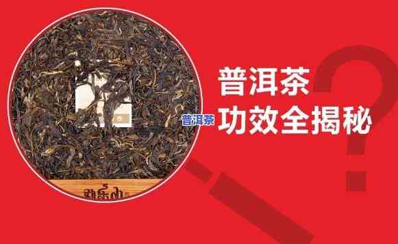 普洱茶的主要内容与特点及功效探究