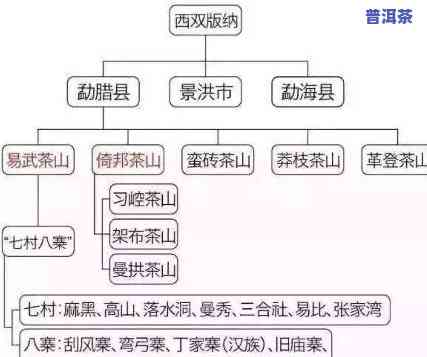 普洱茶：起源、发展与知名探析