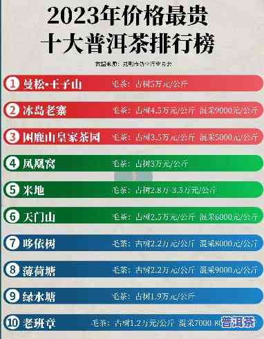 2023普洱茶鲜叶价格多少，2023年普洱茶鲜叶市场价格预测