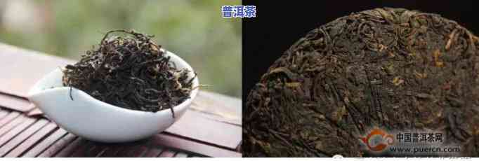 普洱茶二春茶怎样辨别好坏及真伪？